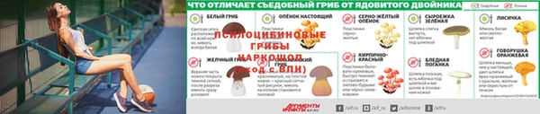 трава Касимов