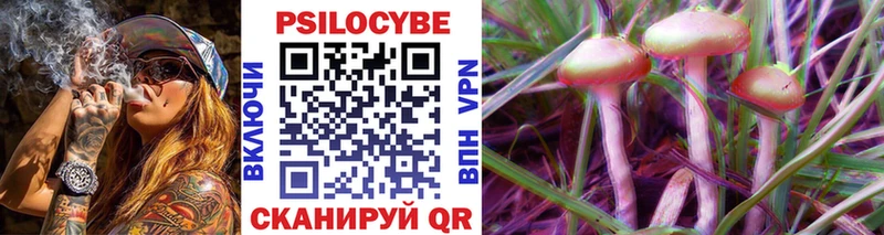 Купить закладки Георгиевск Галлюциногенные грибы GOLDEN TEACHER