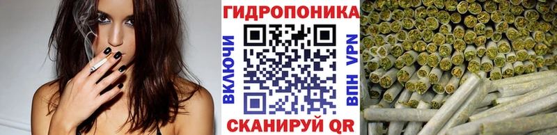Купить закладки  Георгиевск  Конопля семена 
